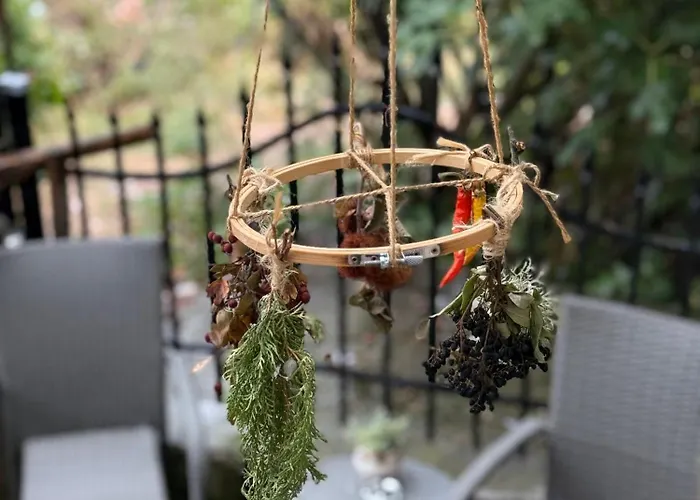 Zdravets 2, In The Heart Of The Old Apartment Veliko Tarnovo